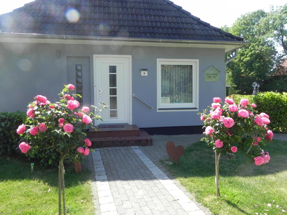Ferienhaus "Ole Au", Ferienwohnung, Monteure, Unterkunft, Office Oldershausen Ngoại thất bức ảnh